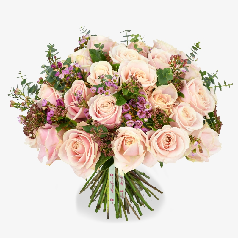 Pink Delight | ديلايت وردي