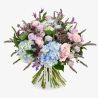 Wild Meadow | وايلد مايدو