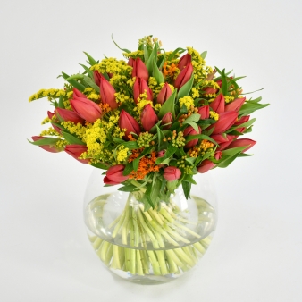 Red Tulip & Solidago