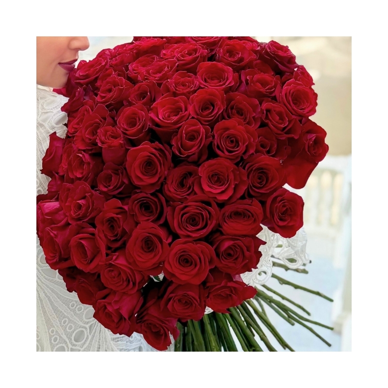 الحب للتانجو | الحب للتانجو