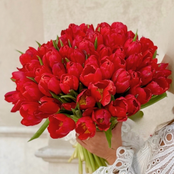 رومانسية التوليب | Tulip Romance