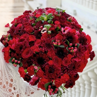 Eternal Burgundy | الأحمر...