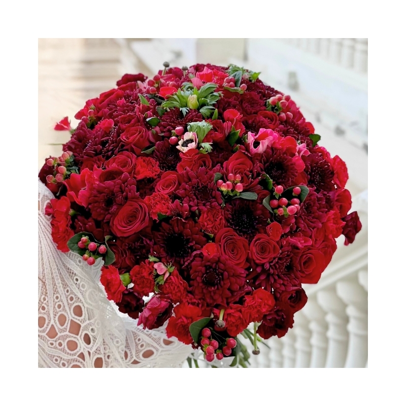 Eternal Burgundy | الأحمر الداكن الأبدي