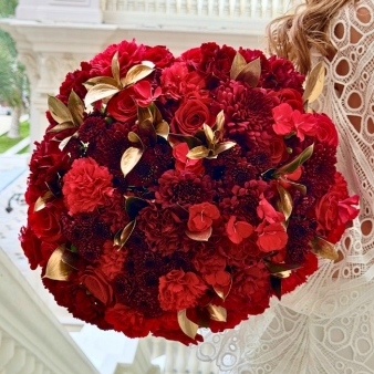 Dreaming in Red | حلم بالأحمر