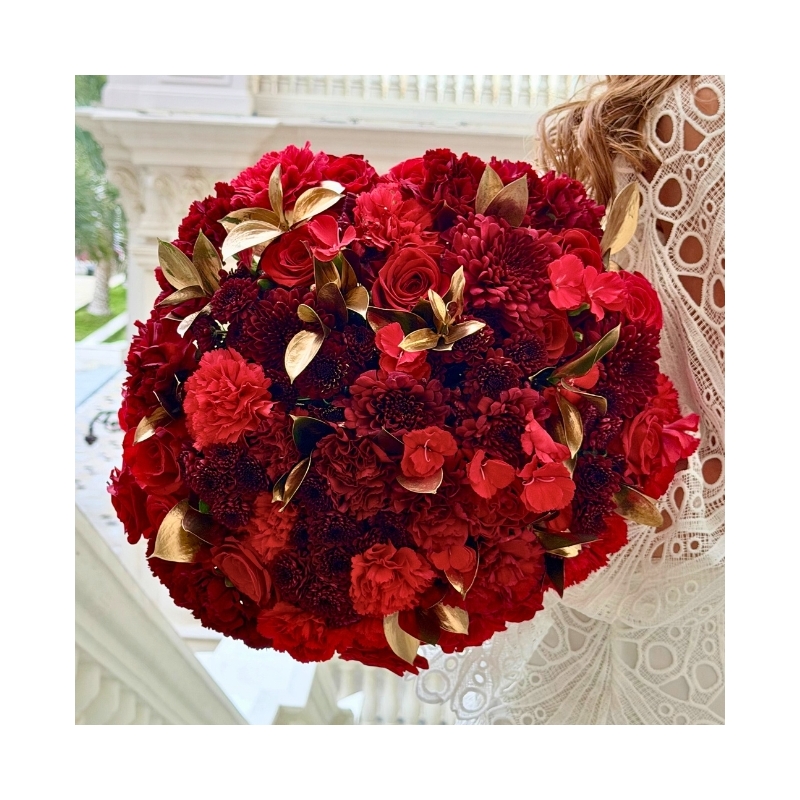 Dreaming in Red | حلم بالأحمر