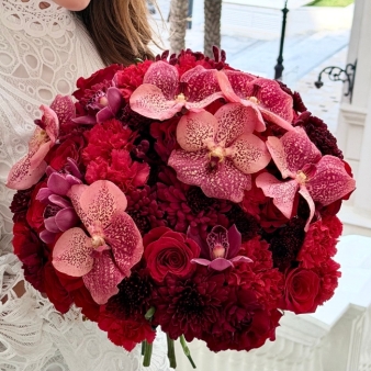 Orchid Love| حب الأوركيد