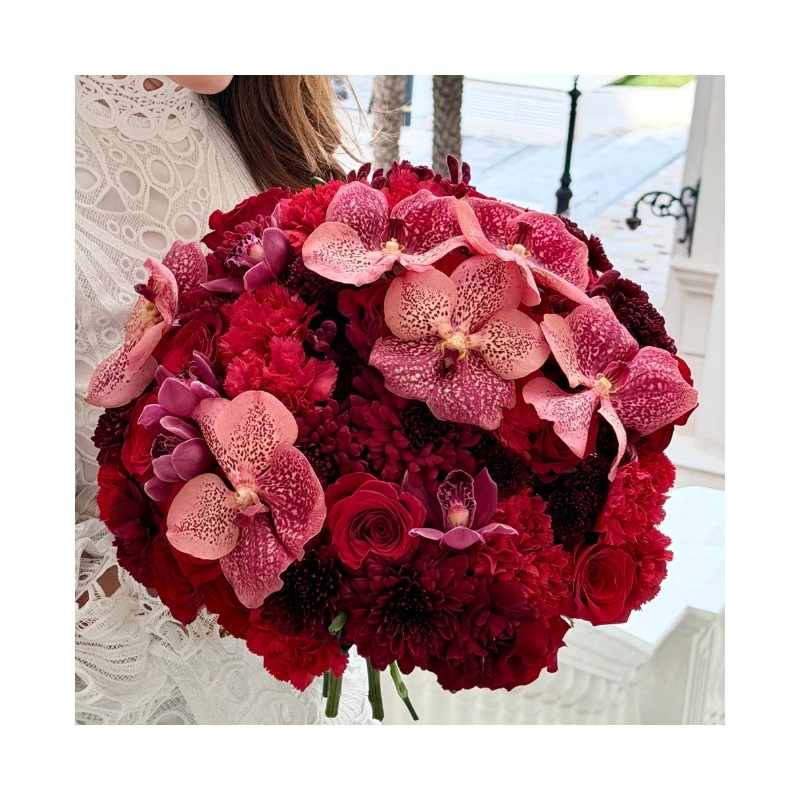 Orchid Love| حب الأوركيد