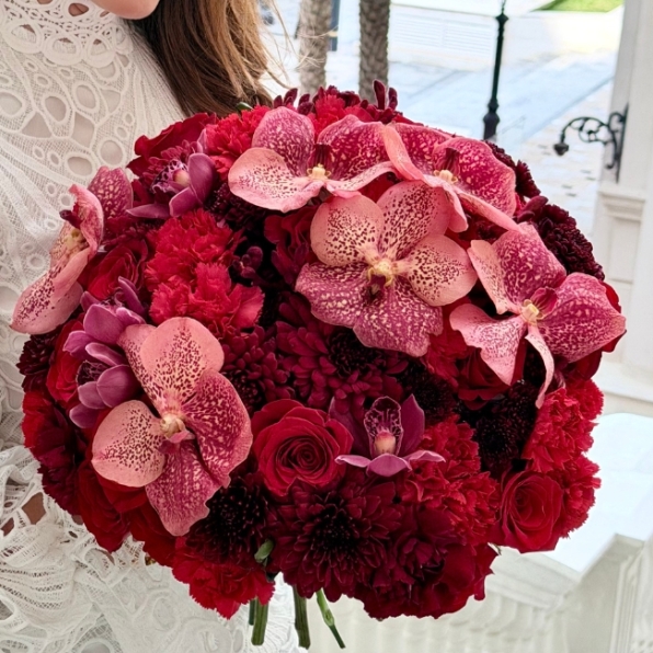 Orchid Love| حب الأوركيد