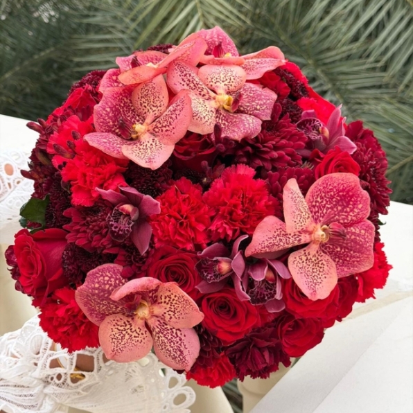 Orchid Love| حب الأوركيد