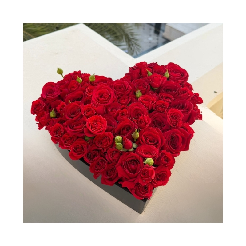 Shape of Us (Roses)|(شكلنا (ورود